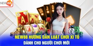 NEW88 Hướng Dẫn Luật Chơi Xì Tố Dành Cho Người Chơi Mới