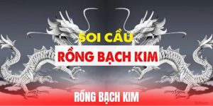 Rồng Bạch Kim - Phương Pháp Chốt Số Lô Đề Trúng Lên Tới 99%